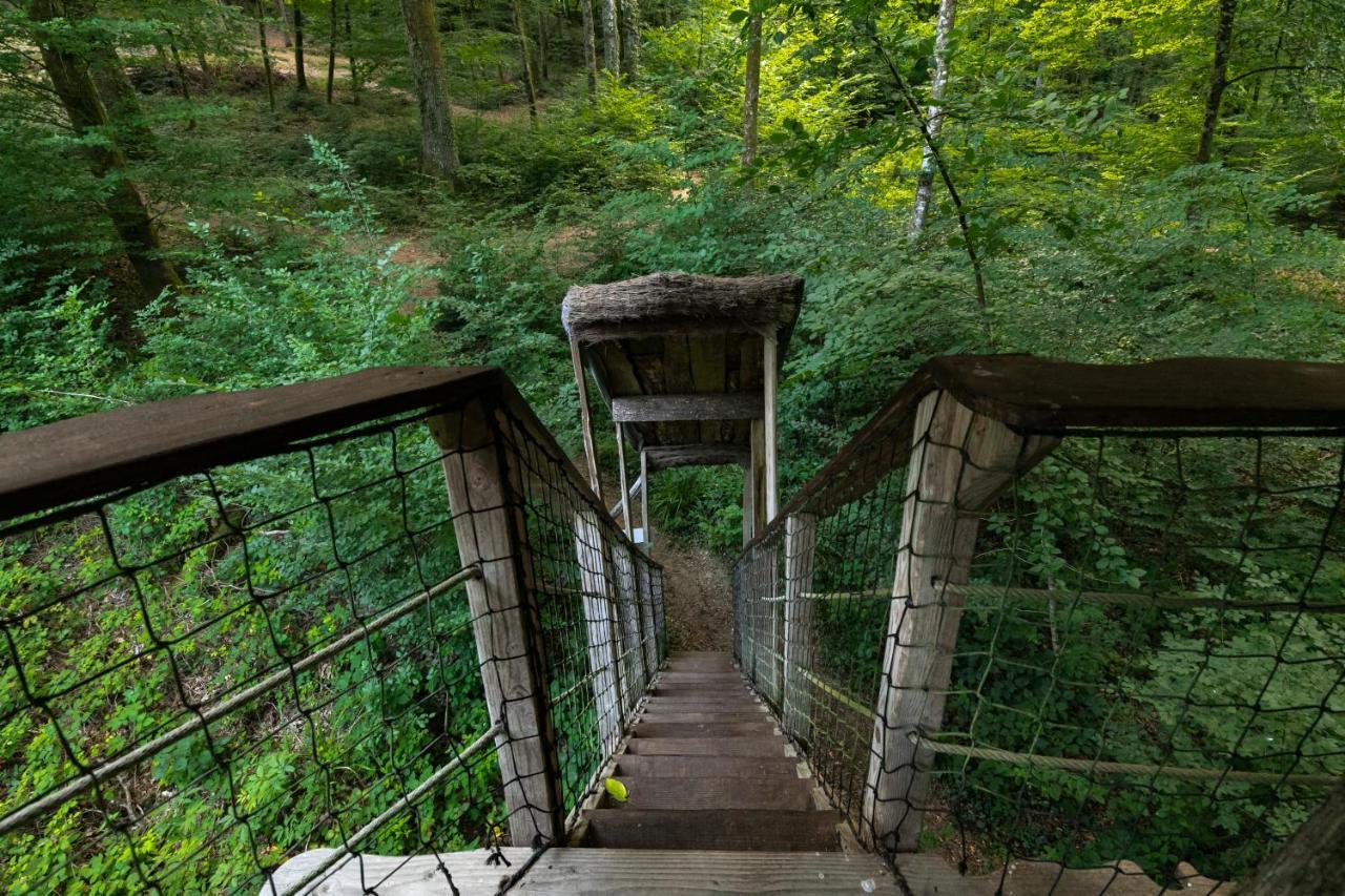 L'Arbre A Cabane Guyonvelle Εξωτερικό φωτογραφία