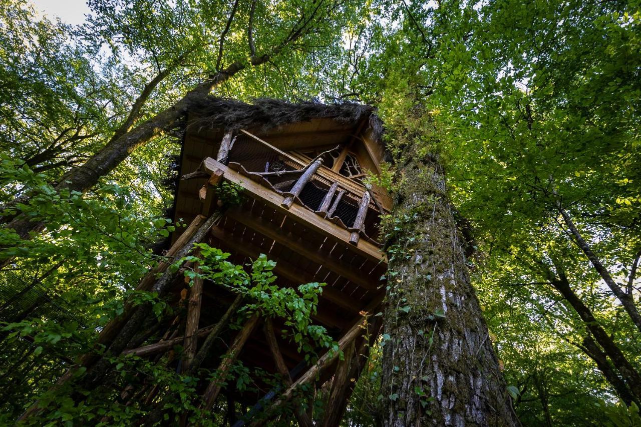 L'Arbre A Cabane Guyonvelle Εξωτερικό φωτογραφία