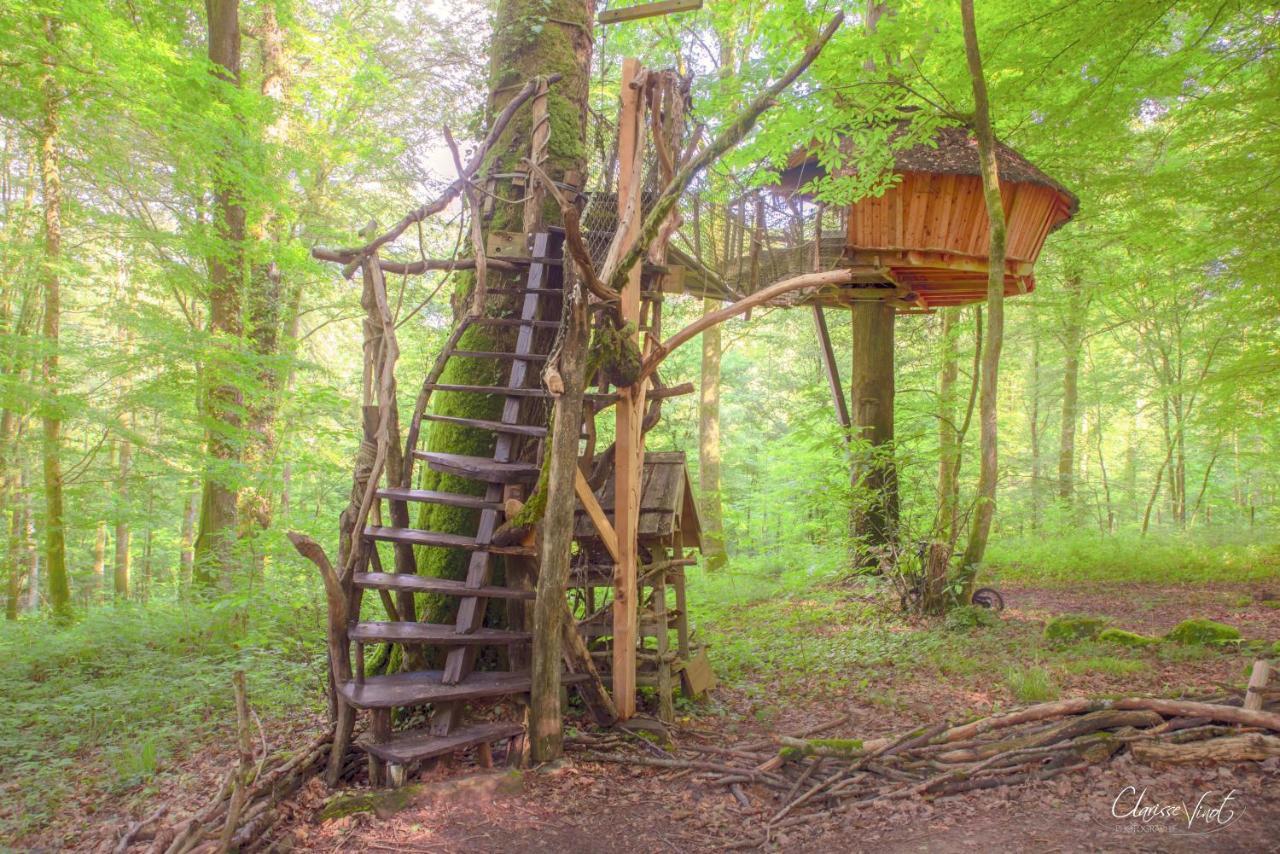 L'Arbre A Cabane Guyonvelle Εξωτερικό φωτογραφία
