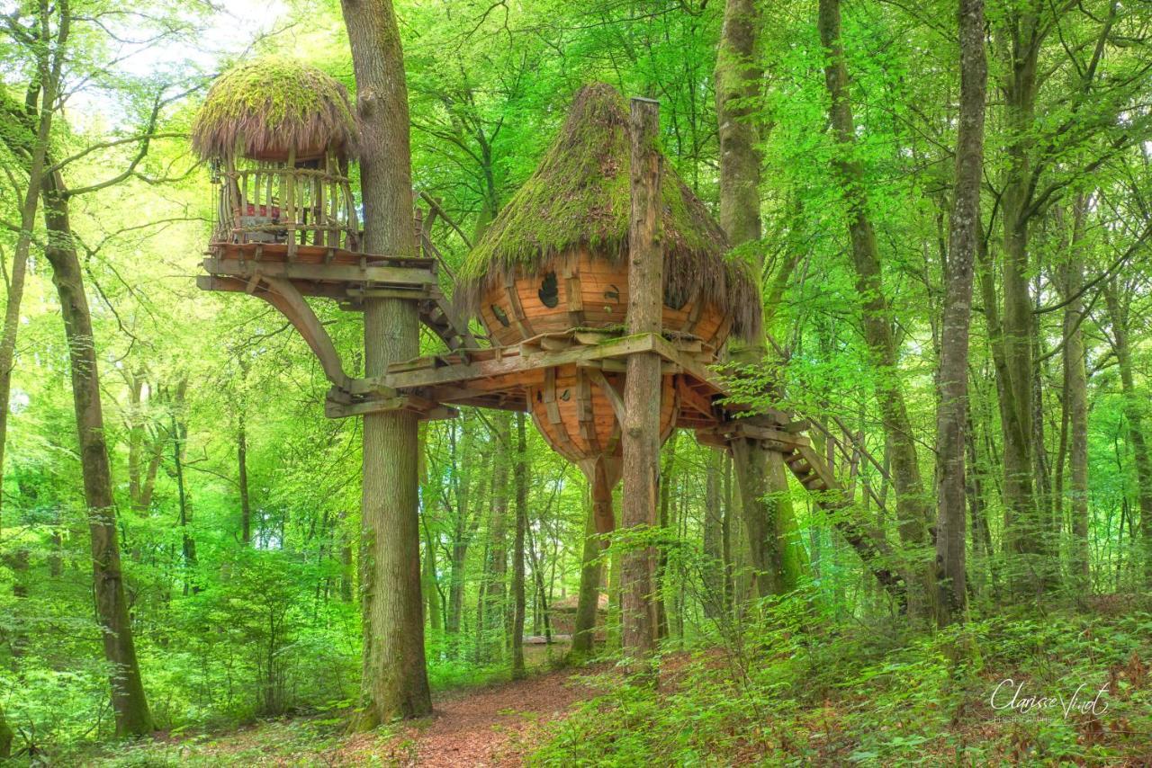 L'Arbre A Cabane Guyonvelle Εξωτερικό φωτογραφία